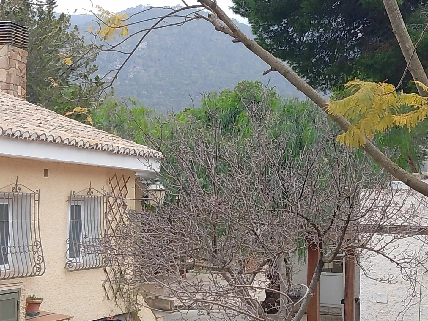 Vista exterior de Casa o xalet en venda en Tibi amb Calefacció, Jardí privat i Terrassa