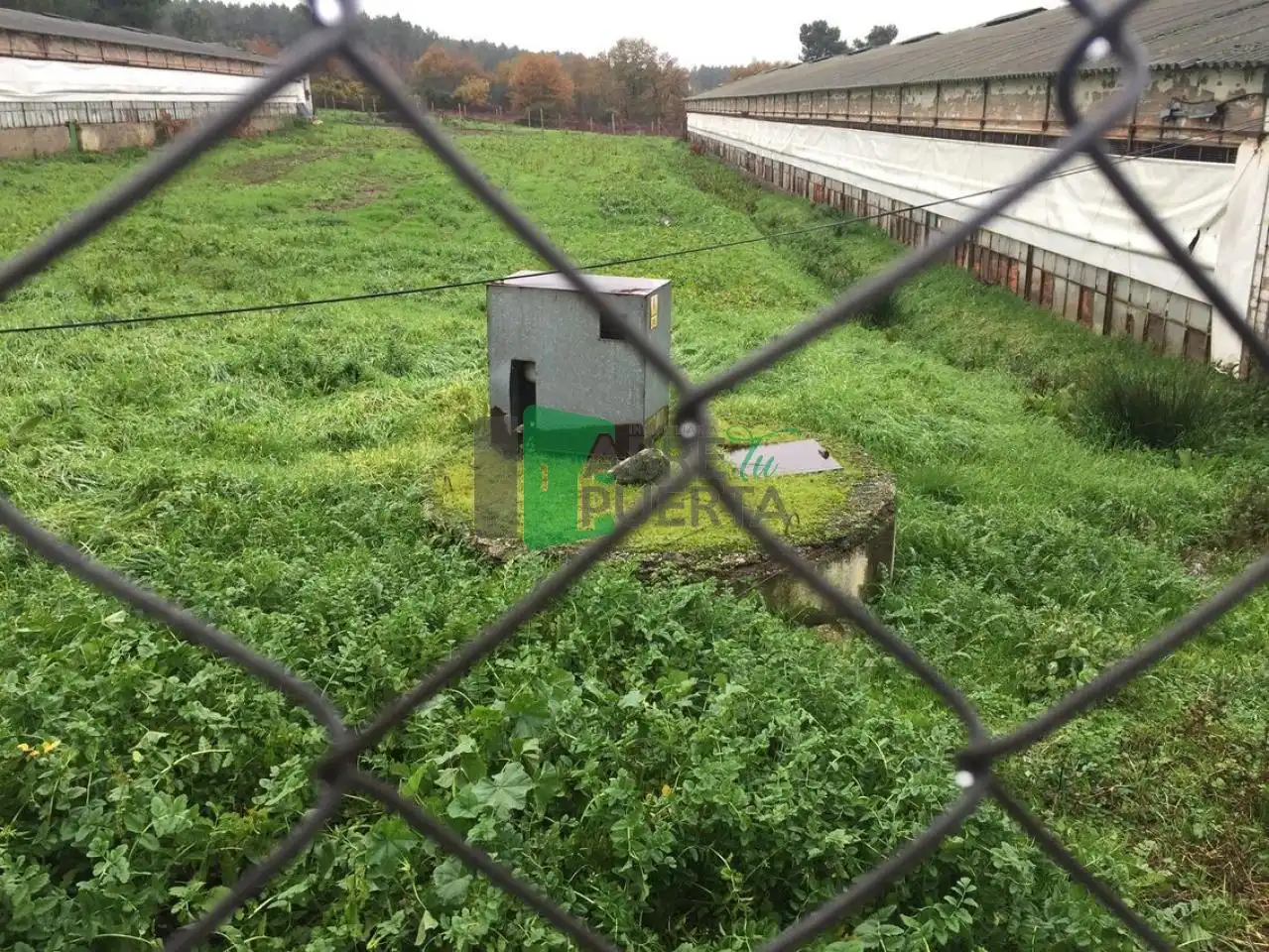 Xalet amb jardí en venda a O Pereiro de Aguiar, imagen 12