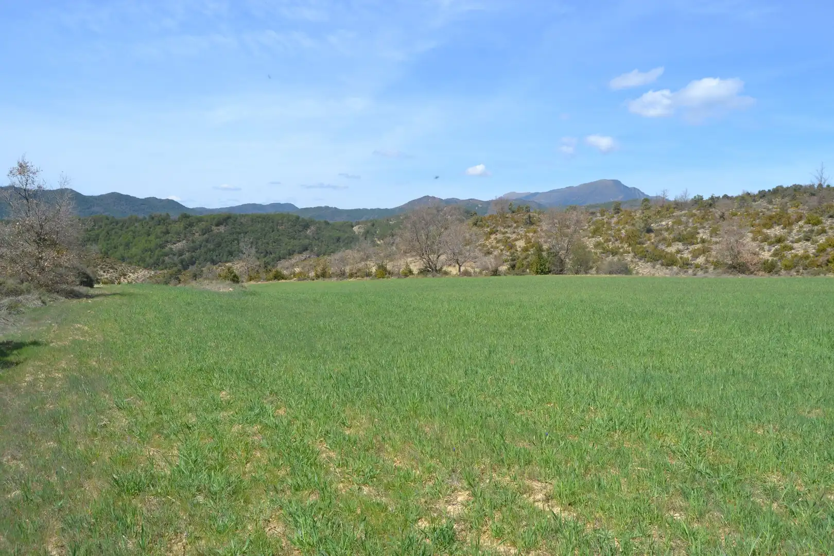 Country homes for sale in Sabiñánigo  with Private garden