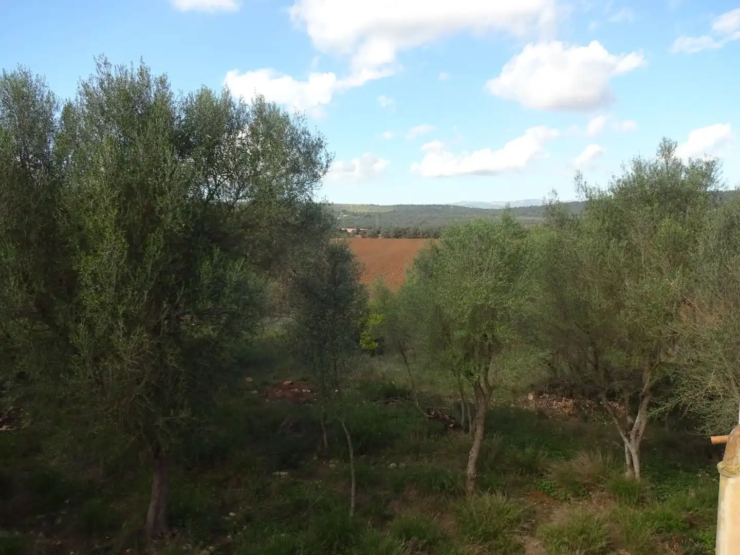 Finca rústica en venta en  Palma de Mallorca