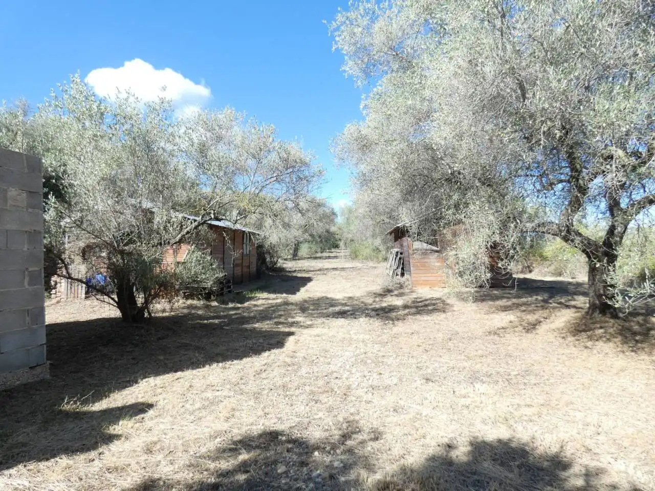 Maison rustique avec jardin à vendre à Calle PARTIDA PANDOLS  POL 5, imagen 21