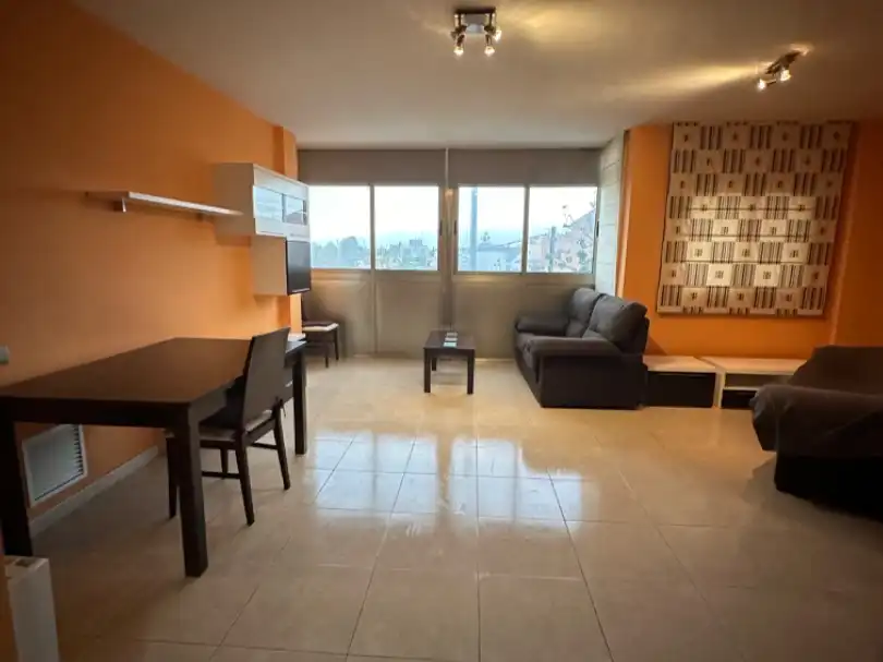 Flat with lift for sale in Avinguda de les Goles de l'Ebre 95, imagen 10