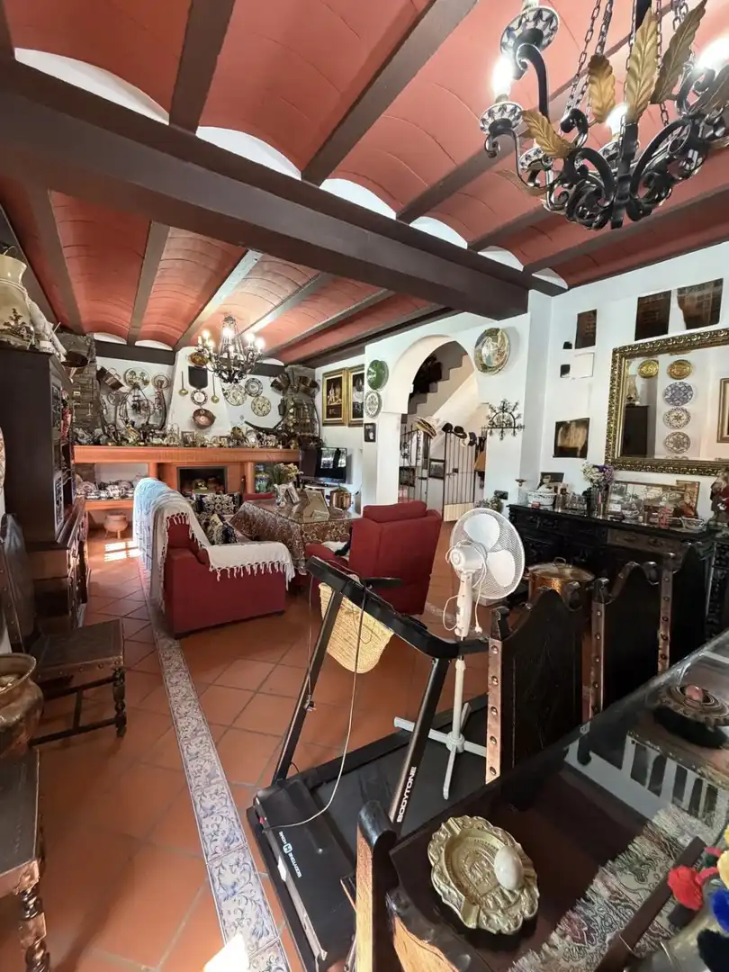 Sala d'estar de Casa o xalet en venda en Sanlúcar la Mayor amb Calefacció i Terrassa