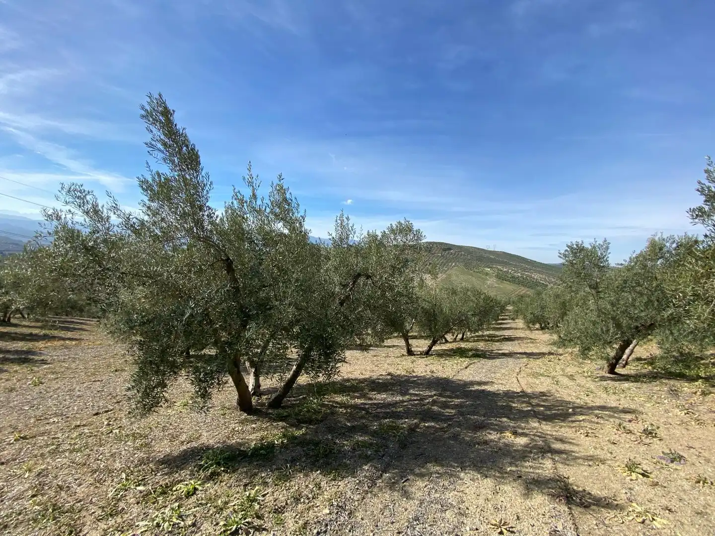 Terreno en venta en Villanueva Mesía