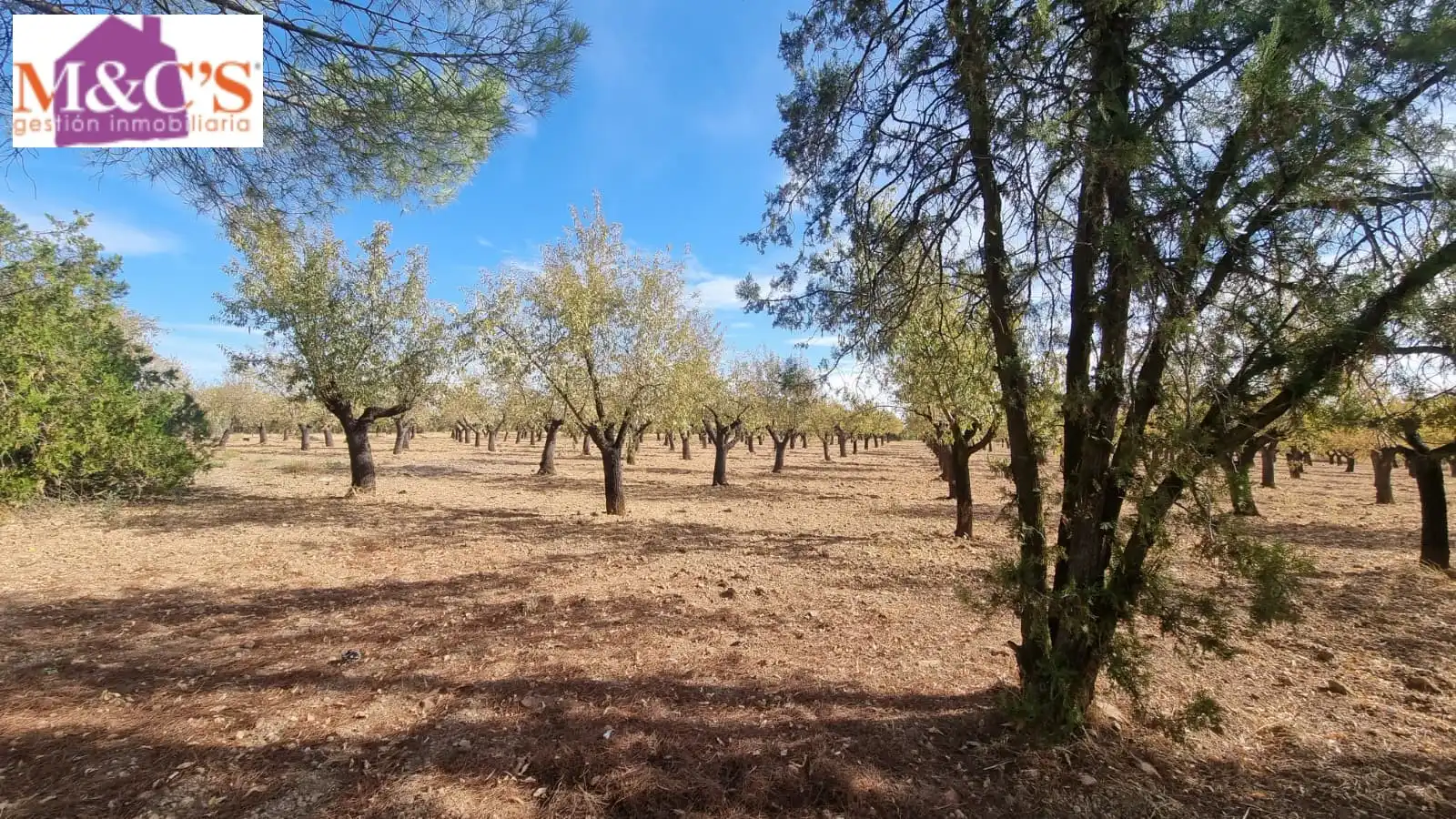 Chalet con terraza en venta en Almodóvar del Campo, imagen 43