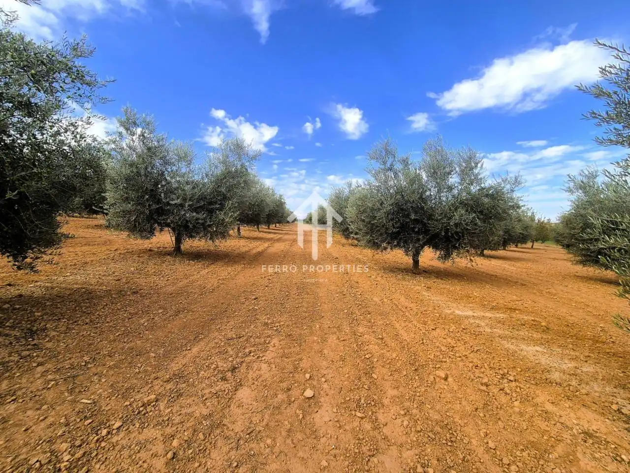 Rural land for sale in Moraleda de Zafayona, imagen 21