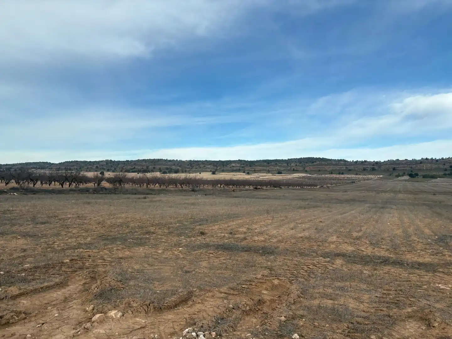 Finca rústica en venta en Ontur