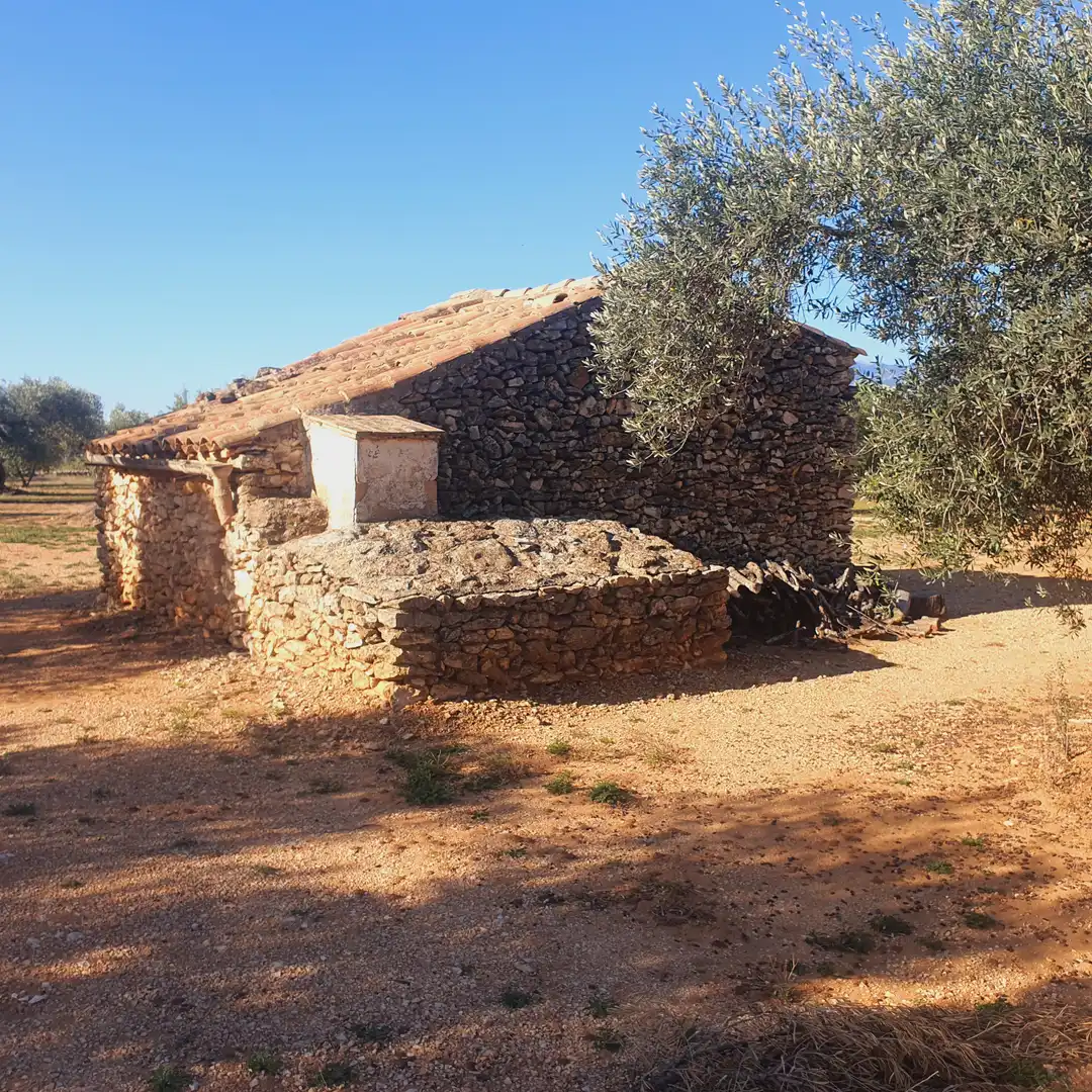 Terrain rustique à vendre à Tivenys, imagen 11
