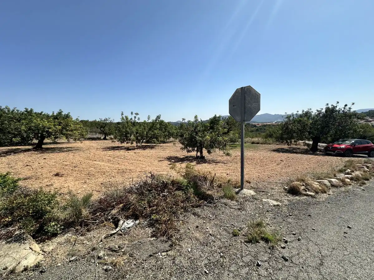 Terreno residencial en venta en Alfara de la Baronia, imagen 9