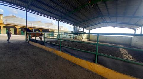 Foto 5 de Finca rústica en venda a El Tomillar, Málaga