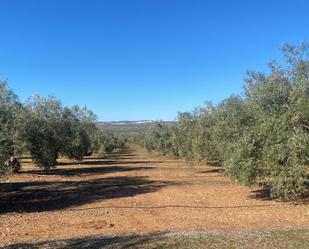 Exterior view of Land for sale in Jabalquinto