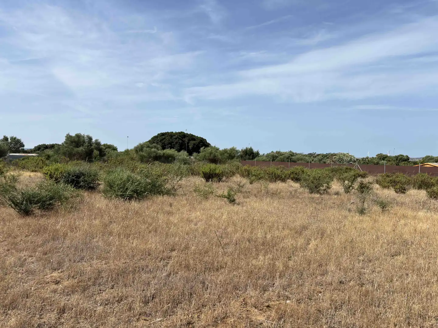 Terreny rústic en venda a Medina Sidonia, imagen 21