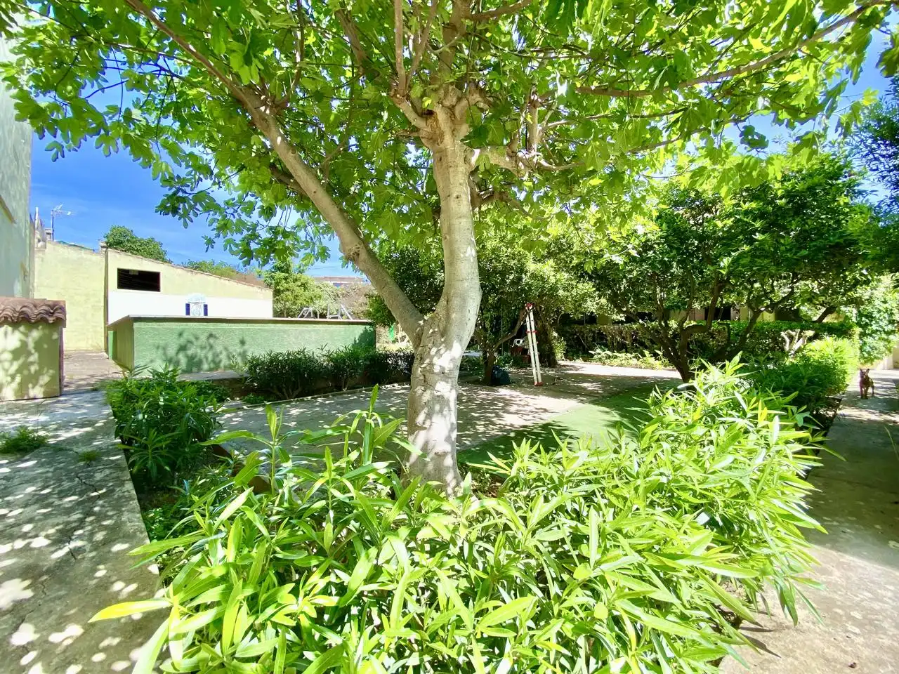 Garten von Haus oder Chalet zum Verkauf in  Palma de Mallorca mit Privatgarten, Terrasse und Abstellraum