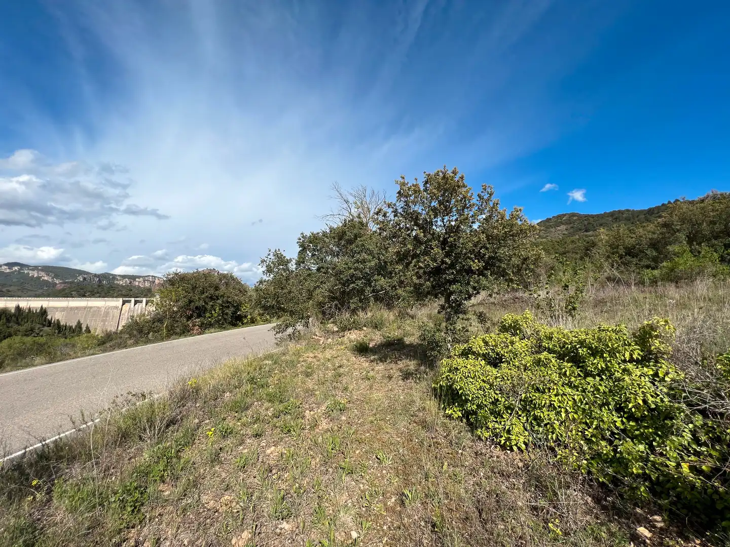 Rural land for sale in Cornudella de Montsant, imagen 17