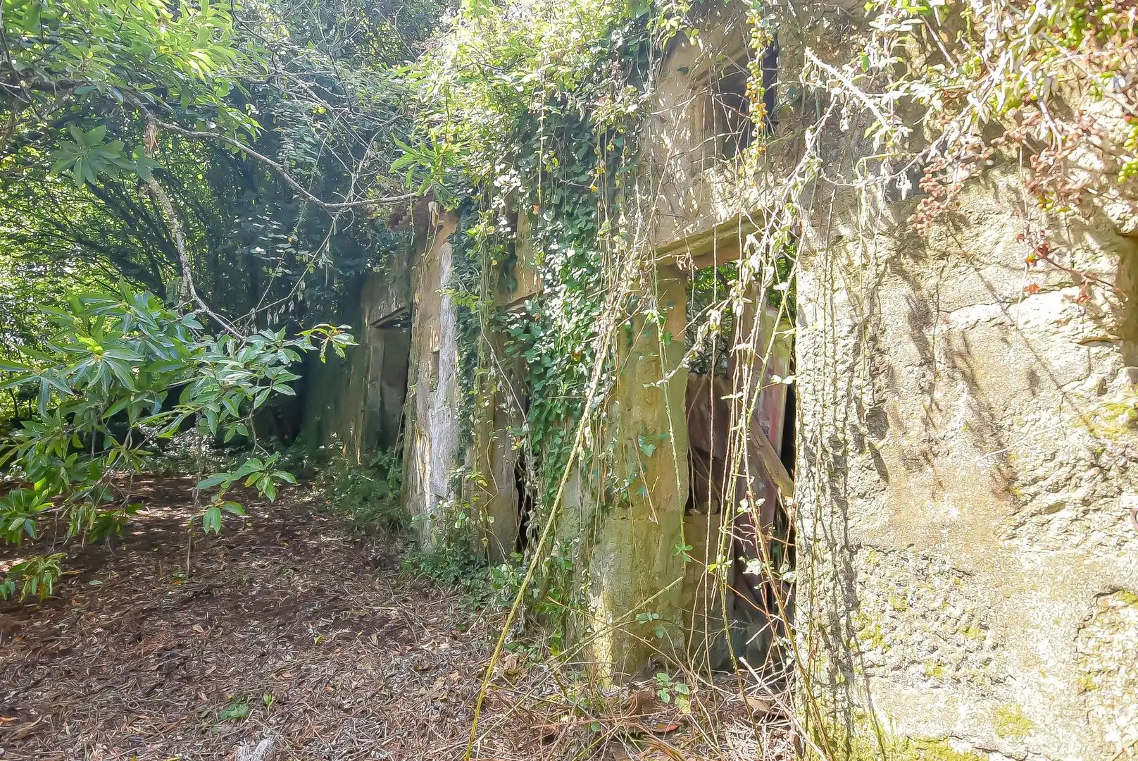 Terreni e lotti in vendita a CIDRAS-SAN XULIAN 15, imagen 13