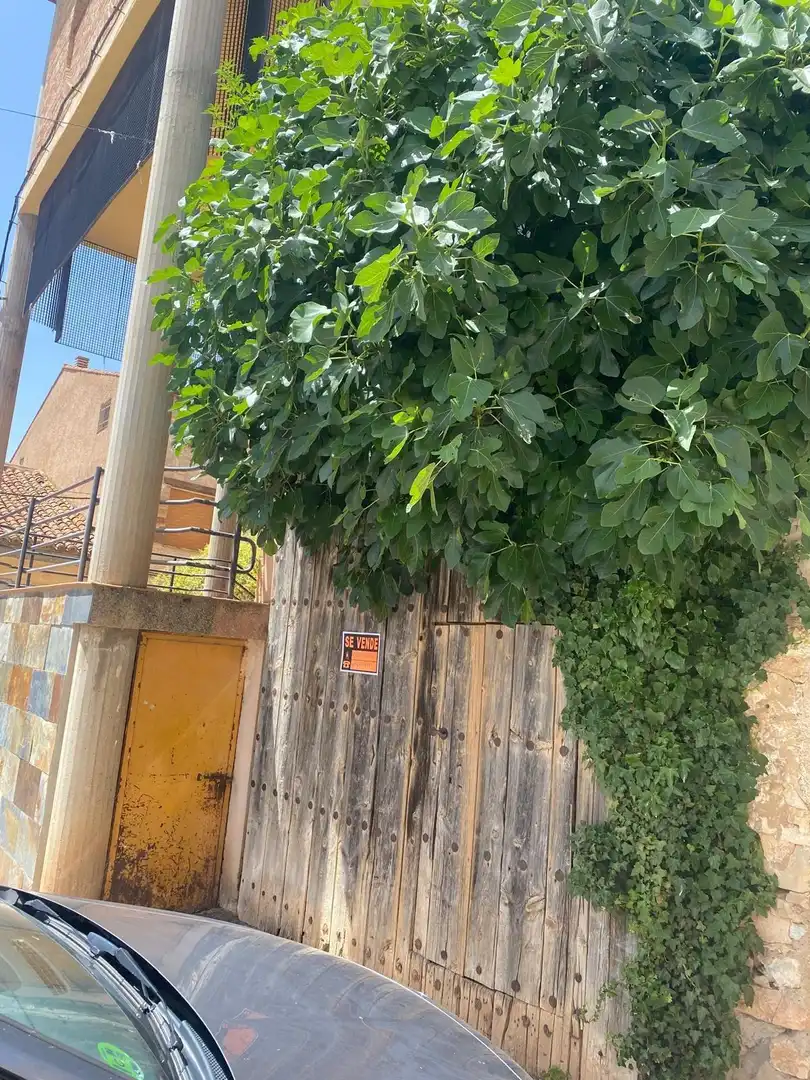 Country homes for sale in Odón