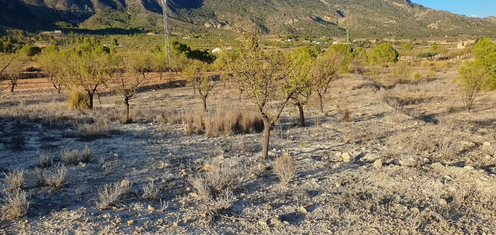 Grundstücke und Bauplätze zum Verkauf in Ricote, imagen 5