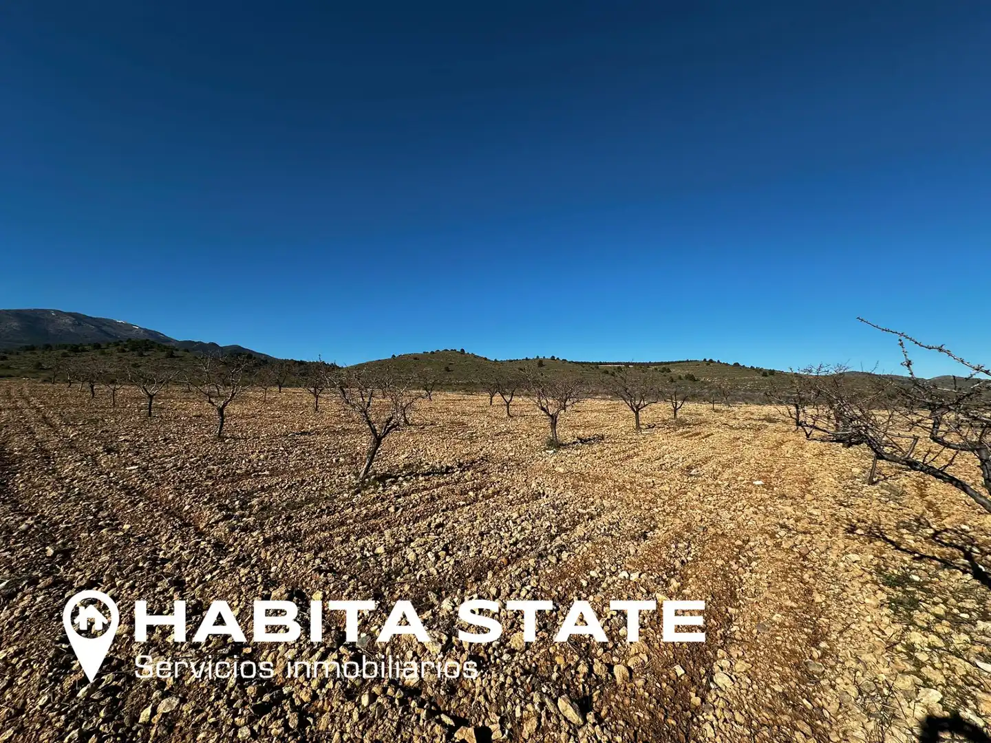 Exterior view of Land for sale in Baza