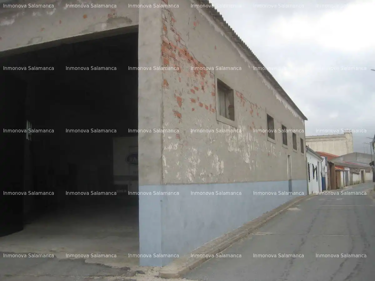 Industrial building to rent in Macotera, imagen 3