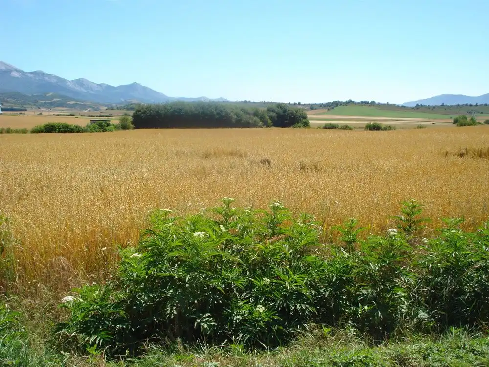 Wohnbaugrundstück zum Verkauf in San Millán / Donemiliaga, imagen 6