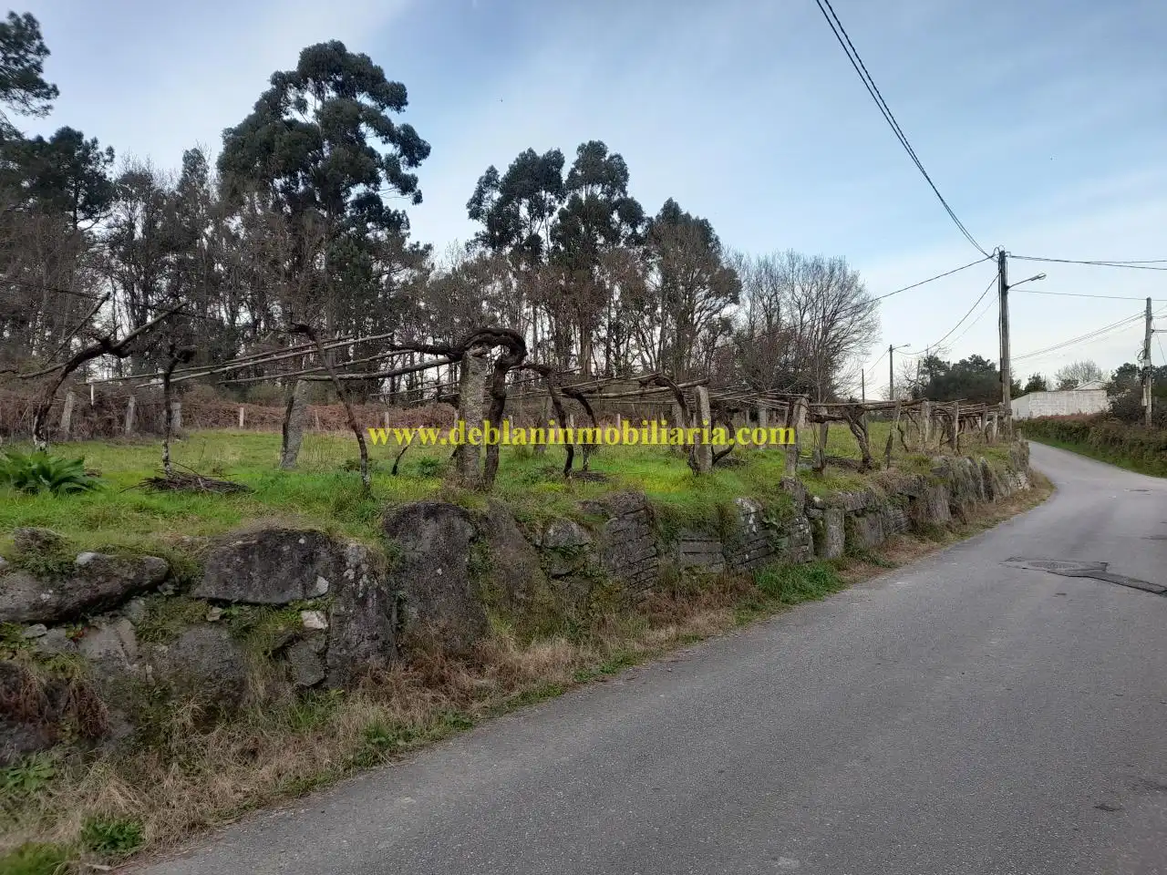 Terreno residencial en venta en Cotarel - Ribadelouro, imagen 5