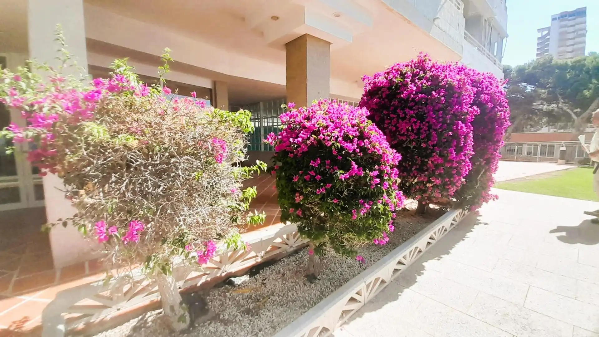 Wohnung mit Terrasse zum Verkauf in Playa de Poniente, imagen 13