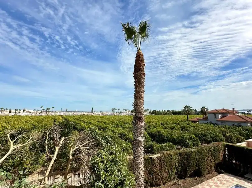 Villa con giardino in vendita a Presidente de la Generalitat 279, imagen 25