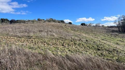 Foto 4 de Finca rústica en venda a de Boadilla a Villaviciosa, Castillo Campodón, Villaviciosa de Odón