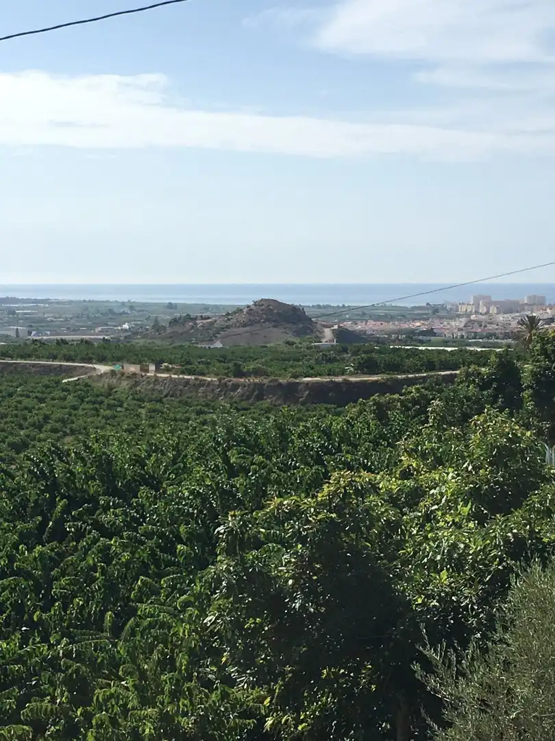 Casa rústica en venda a Monte los Almendros - El Pargo - Costa Aguilera, imagen 48
