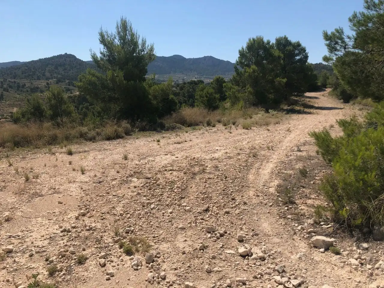 Rustikales Grundstück zum Verkauf in Jumilla, imagen 3