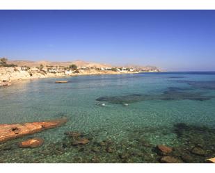 Exterior view of Flat to rent in El Campello  with Terrace, Furnished and Balcony