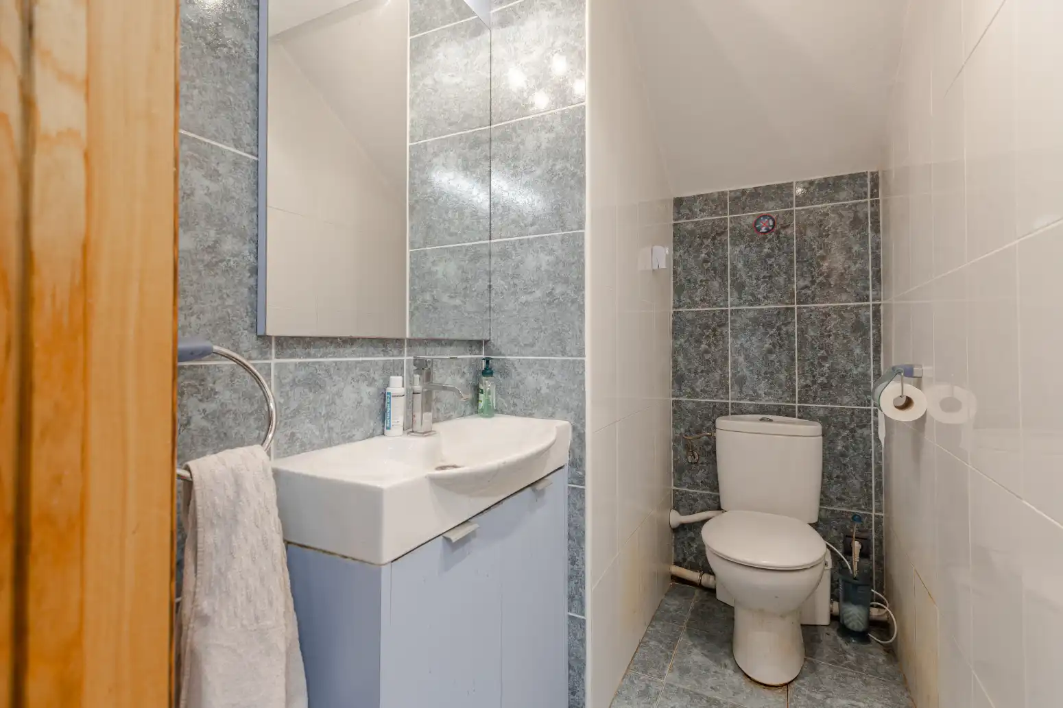 Bany de Casa o xalet en venda en Berrioplano / Berriobeiti amb Calefacció, Jardí privat i Parquet