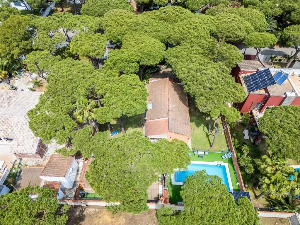 Jardí de Casa o xalet en venda en Chiclana de la Frontera amb Aire condicionat, Calefacció i Jardí privat