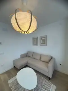 Sala d'estar de Apartament de lloguer en León Capital  amb Calefacció, Parquet i Terrassa