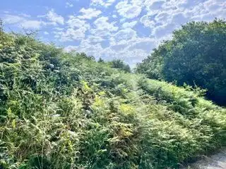 Lands and plots for sale in Santa María de Getxo, imagen 5