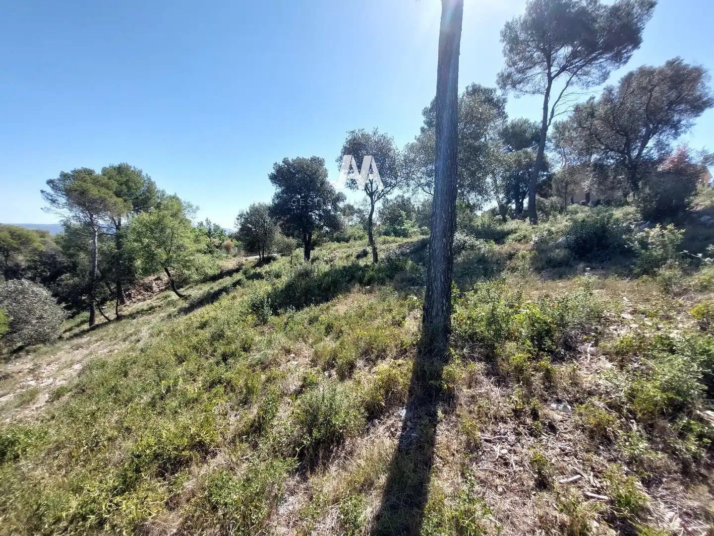 Terreny residencial en venda a FRANCESC COMBÓ, imagen 10