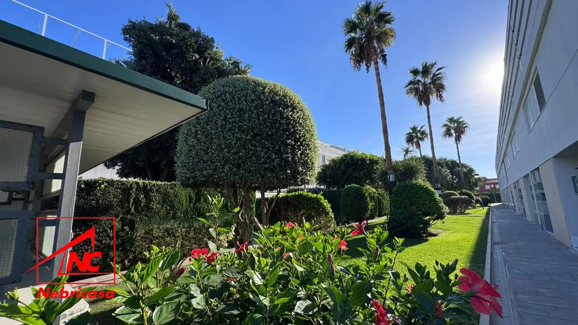 Appartement avec terrasse à vendre à Costa Ballena - Largo Norte, imagen 29