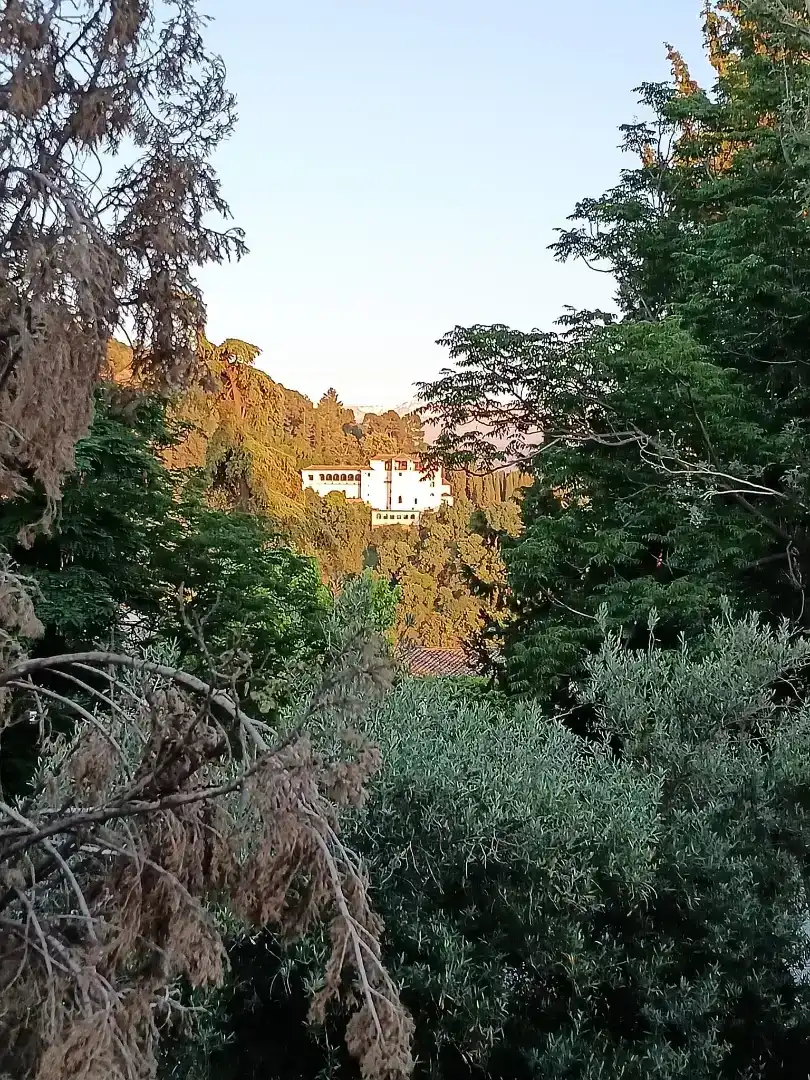 Jardí de Pis en venda en  Granada Capital amb Balcó