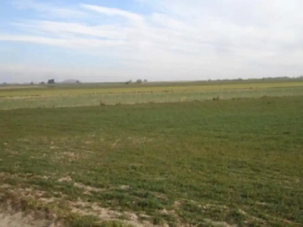 Residencial en venda en Algete