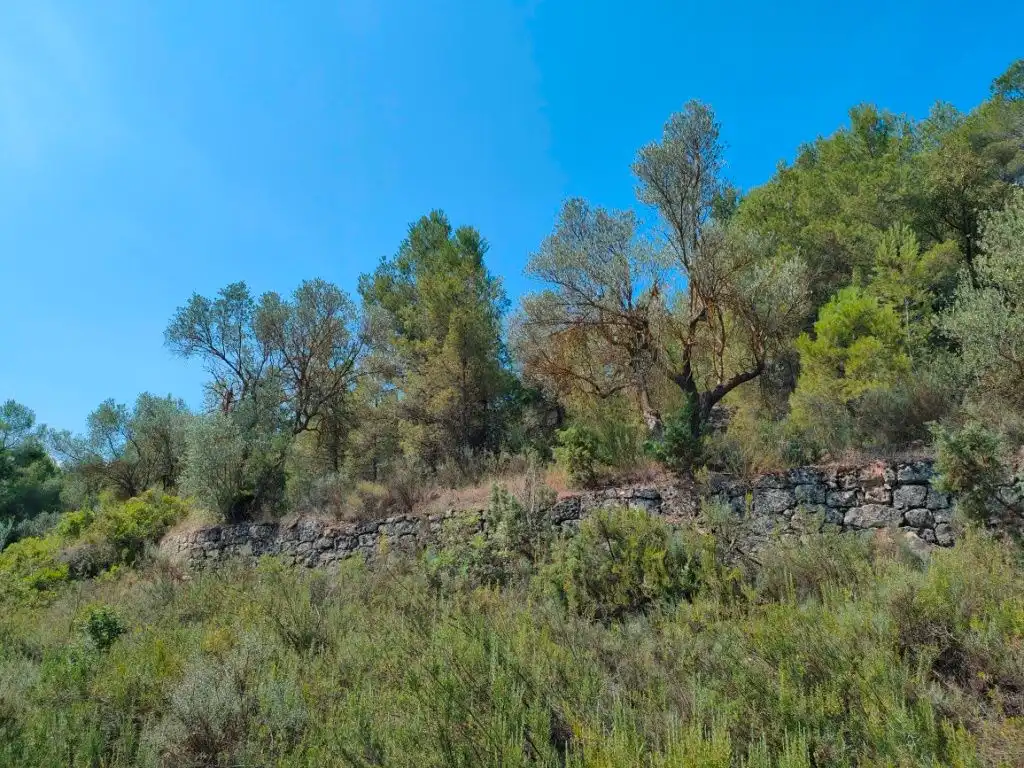 Terreni e lotti in vendita a Arens de Lledó, imagen 3