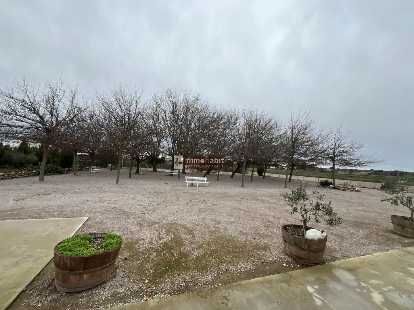 Local en venta en Puigverd de Lleida con Aire acondicionado