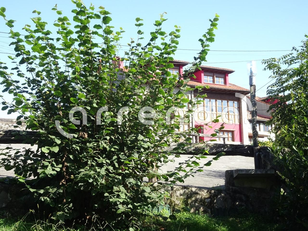 Exterior view of Flat to rent in Llanes  with Heating and Furnished