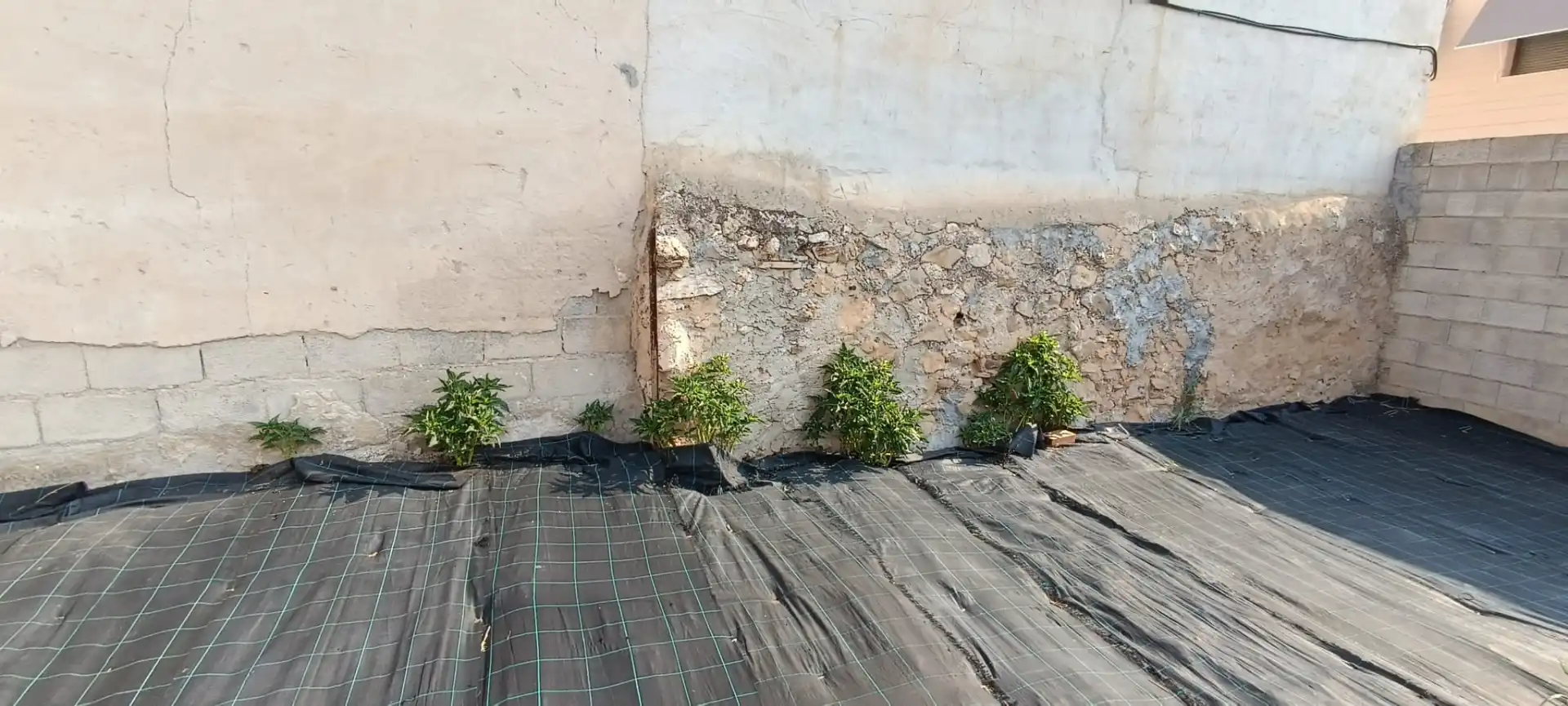 Terreno residenziale in vendita a Benirredrà, imagen 6
