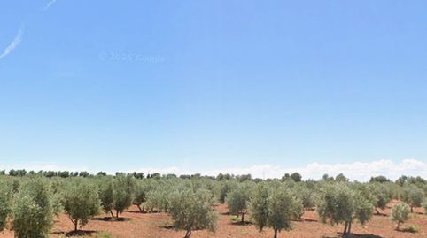 Finca Rúst. en venta en Valdepeñas., imatge 4