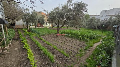 Foto 4 de Residencial en venta en Pozoblanco, Córdoba