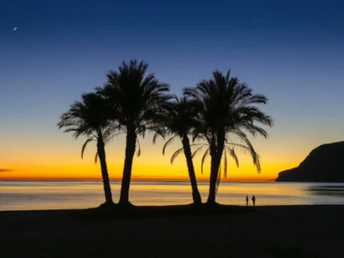 Exterior view of Flat for rent in La Herradura