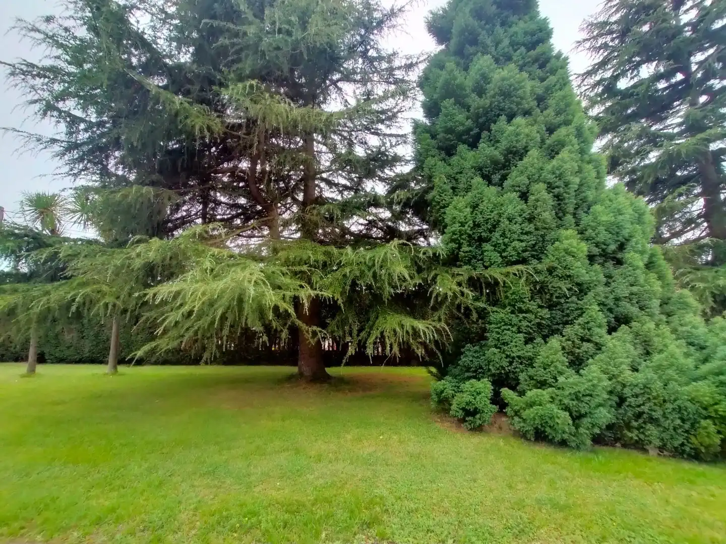Haus mit Garten zum Verkauf in Muros de Nalón, imagen 53