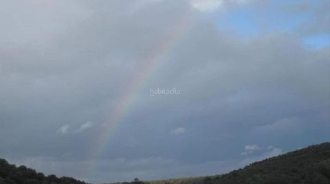 Parcela en el balcón de cabañeros, imatge 5