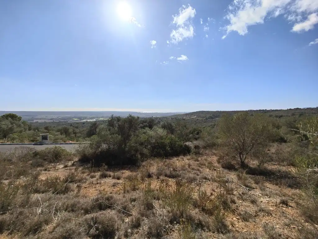 Terreny rústic en venda a Llevant, imagen 21