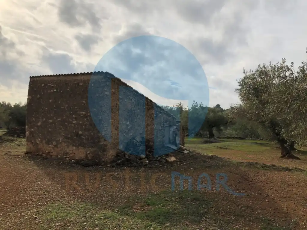 Finca rústica en venda en L'Ampolla